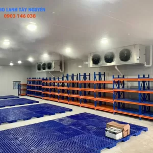 KHO TRỮ ĐÔNG TÂY NGUYÊN
