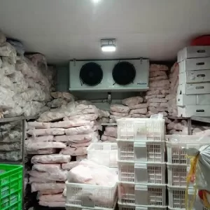 LẮP ĐẶT KHO THỰC PHẨM ĐÔNG LẠNH