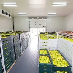 KHO LẠNH HOA QUẢ TƯƠI THƯƠNG MẠI